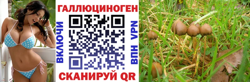 Псилоцибиновые грибы Psilocybine cubensis  цены   Саянск 