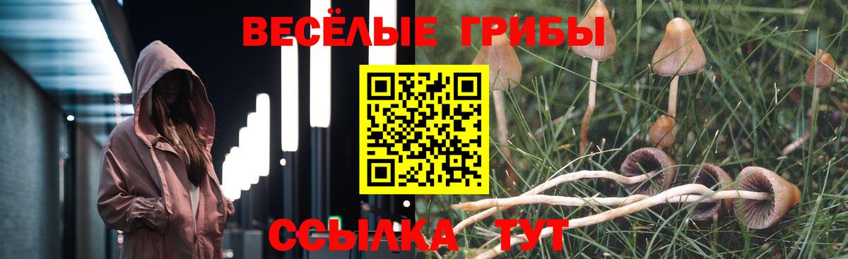 Саянск  Псилоцибиновые грибы мицелий  Вход с VPN 